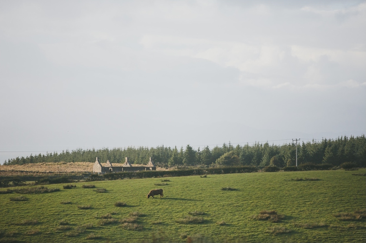 mariage boho chic champ