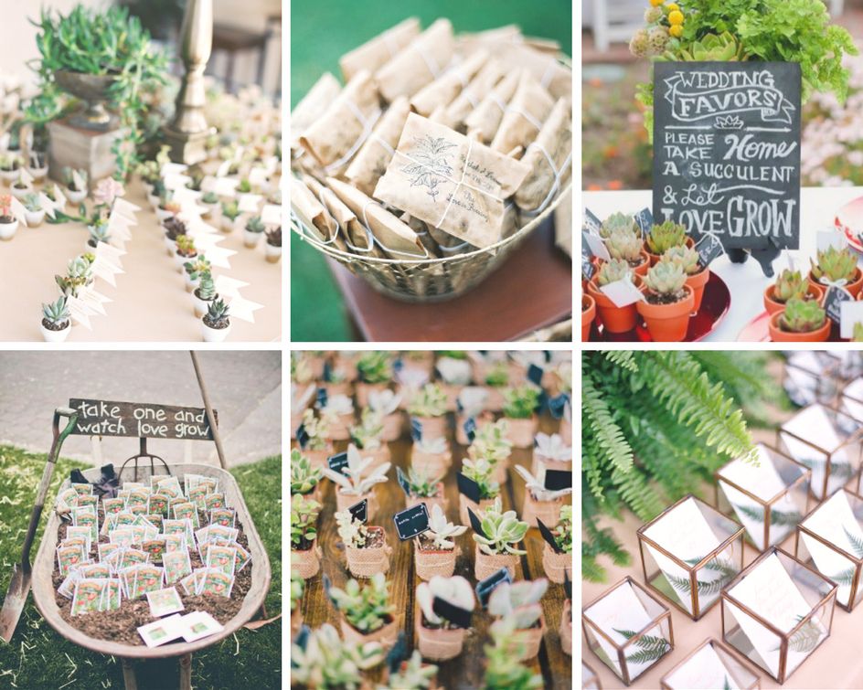 idees cadeaux invites plantes & graines