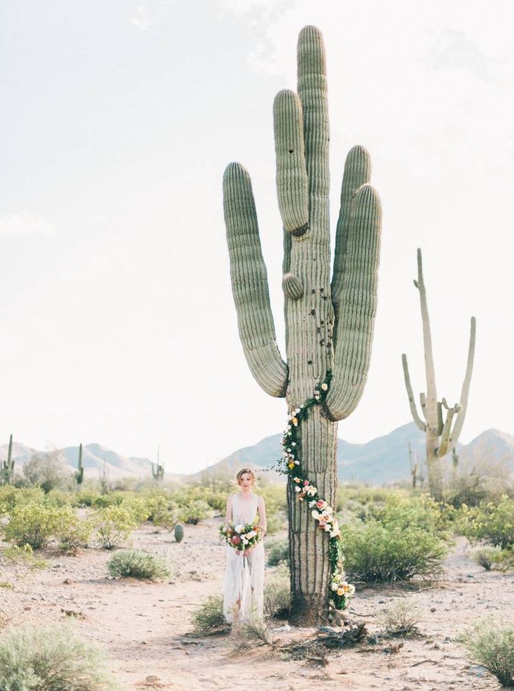 tendance mariage cactus desert