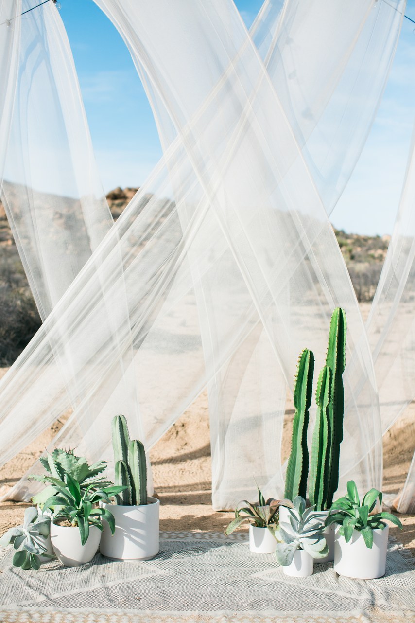 tendance mariage cactus decor
